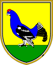 Arms of Kranjska Gora