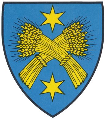 Coat of arms (crest) of Salins (Wallis)