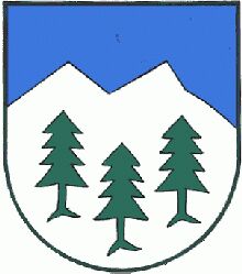 Wappen von Rettenegg / Arms of Rettenegg