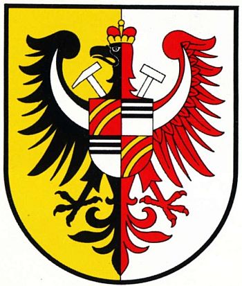 Coat of arms (crest) of Złoty Stok
