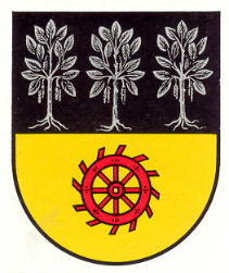 Wappen von Birkenheide/Arms of Birkenheide