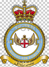 Coat of arms (crest) of the No 14 Squadron, Royal Air Force