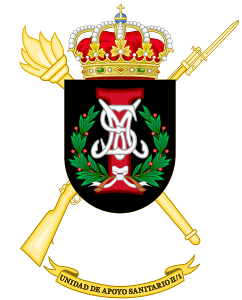 File:II-1st Army Health Support Unit, Spanish Army.png