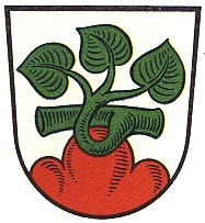 Wappen von Rotenburg an der Fulda/Arms (crest) of Rotenburg an der Fulda
