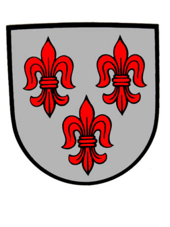 Wappen von Hofsgrund/Arms (crest) of Hofsgrund