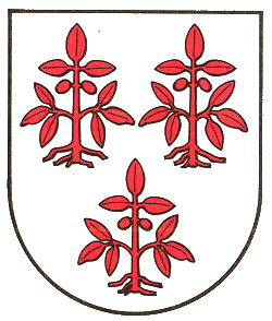 Wappen von Nossen / Arms of Nossen