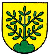 Wappen von Oberbuchsiten/Arms (crest) of Oberbuchsiten