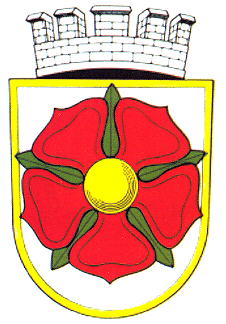 Coat of arms (crest) of Mýto