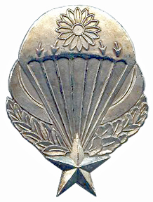 Coat of arms (crest) of the Mixed Group of Airborne Commandos, French Army