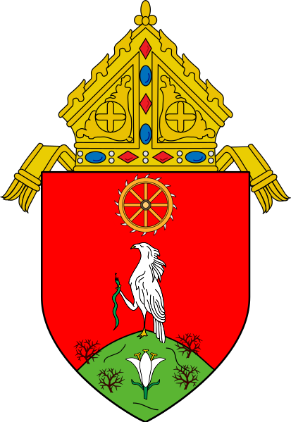 File:Diocese of Dumagete.png