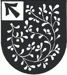 Wappen von Strallegg/Arms (crest) of Strallegg