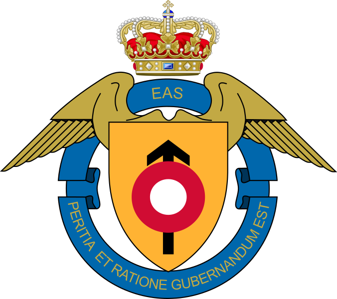 File:Expeditionary Air Staff, Danish Air Force.png