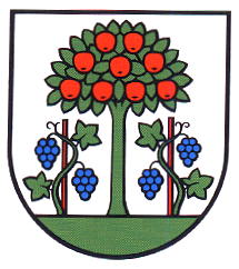 Wappen von Magden/Arms (crest) of Magden