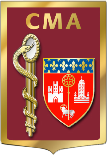 Blason de Armed Forces Military Medical Centre Toulouse-Castres, France/Arms (crest) of Armed Forces Military Medical Centre Toulouse-Castres, France