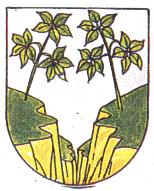Arms (crest) of Barranquitas