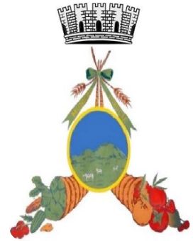 Brasão de Itiruçu/Arms (crest) of Itiruçu