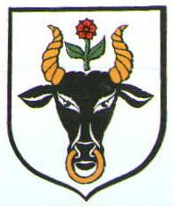 Arms (crest) of Chojnice