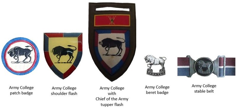 Coat of arms (crest) of the Army College, South African Army