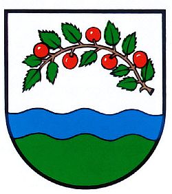 Wappen von Nüstenbach / Arms of Nüstenbach