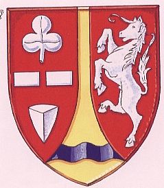 Wapen van Wijnjewoude/Coat of arms (crest) of Wijnjewoude