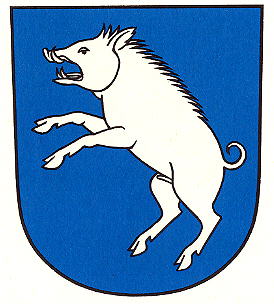 Wappen von Berg am Irchel