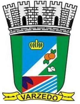 Brasão de Varzedo/Arms (crest) of Varzedo
