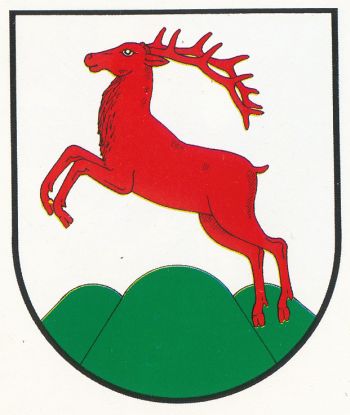 Arms of Gorzów Śląski
