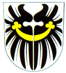 Coat of arms (crest) of Solnice