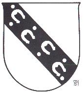 Wappen von Straßwalchen/Arms (crest) of Straßwalchen