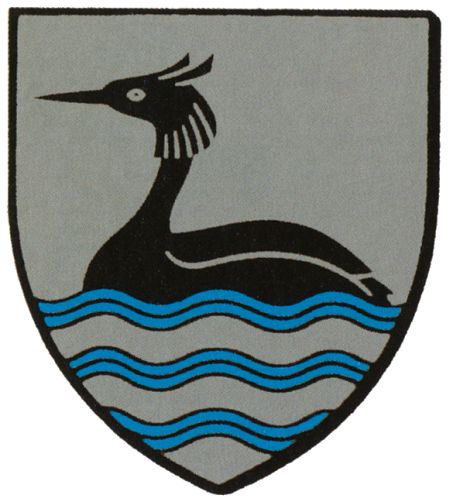 Arms of Ry
