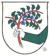 Wappen von Schleedorf/Arms of Schleedorf