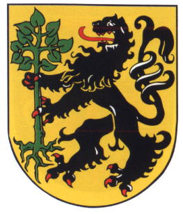 Wappen von Eisfeld