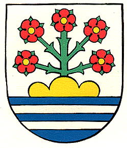 Wappen von Rorschacherberg/Arms (crest) of Rorschacherberg