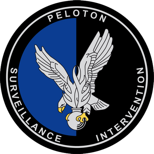 File:Surveillance and Intervention Platoon of the Gendarmerie, France.png