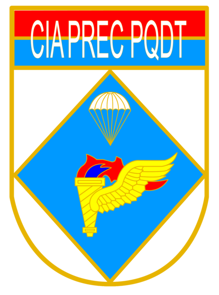File:Parachute Pathfinder Company, Brazilian Army.png