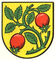 Wappen von Auendorf/Arms (crest) of Auendorf
