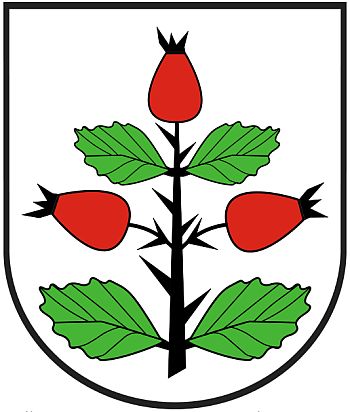Coat of arms (crest) of Rzgów (Konin)