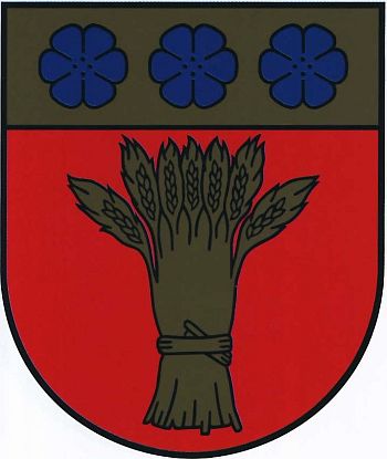 Arms of Rūjiena (town)