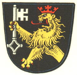 Wappen von Selzen / Arms of Selzen