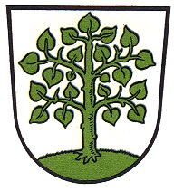 Wappen von Homburg (Saarland) / Arms of Homburg (Saarland)