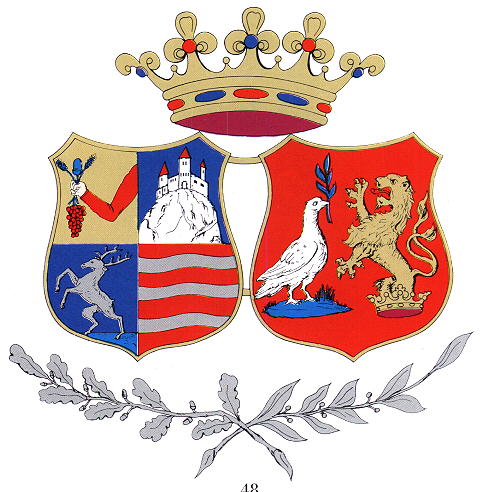 Arms of Szilágy Province
