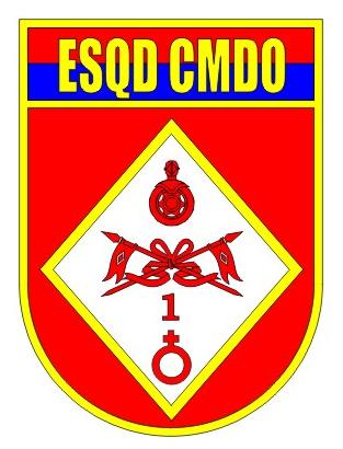Coat of arms (crest) of the Headquarters Squadron, 1st Mechanized Cavalry Brigade, Brazilian Army