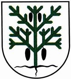 Wappen von Tannheim (Villingen-Schwenningen) / Arms of Tannheim (Villingen-Schwenningen)