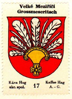 Coat of arms (crest) of Velké Meziříčí