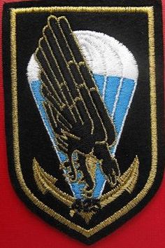 File:425th Parachute Command and Support Battalion, French Army1.jpg
