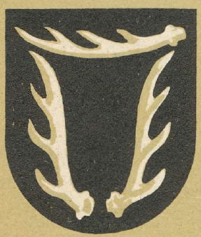 Arms of Szlichtyngowa