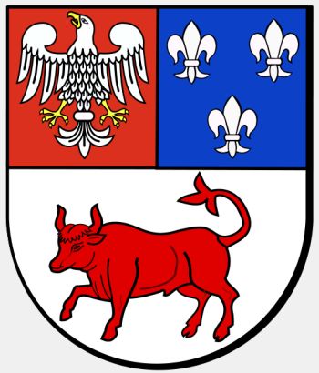 Arms of Turek (county)