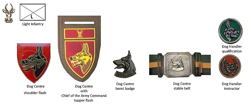 Coat of arms (crest) of the Dog Centre, South African Army