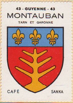 Montauban.hagfr.jpg