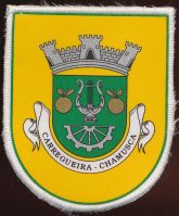 Brasão de Carregueira/Arms (crest) of Carregueira